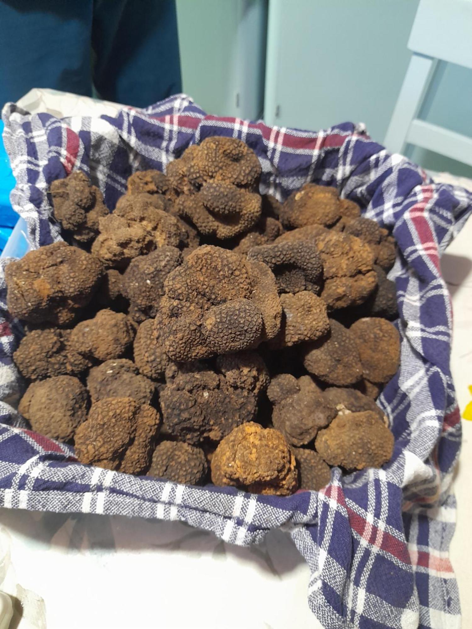 KršanKuca Za Odmor Lanaアパートメント 部屋 写真